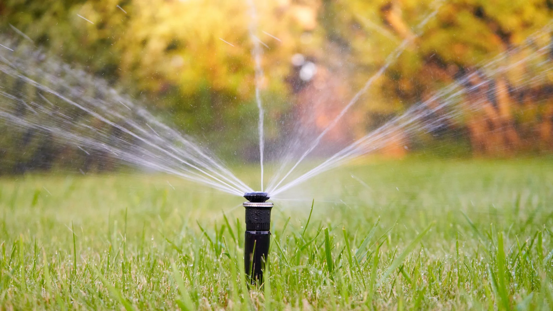 Don't Try to Winterize Your Irrigation System Yourself - Always Hire Pros