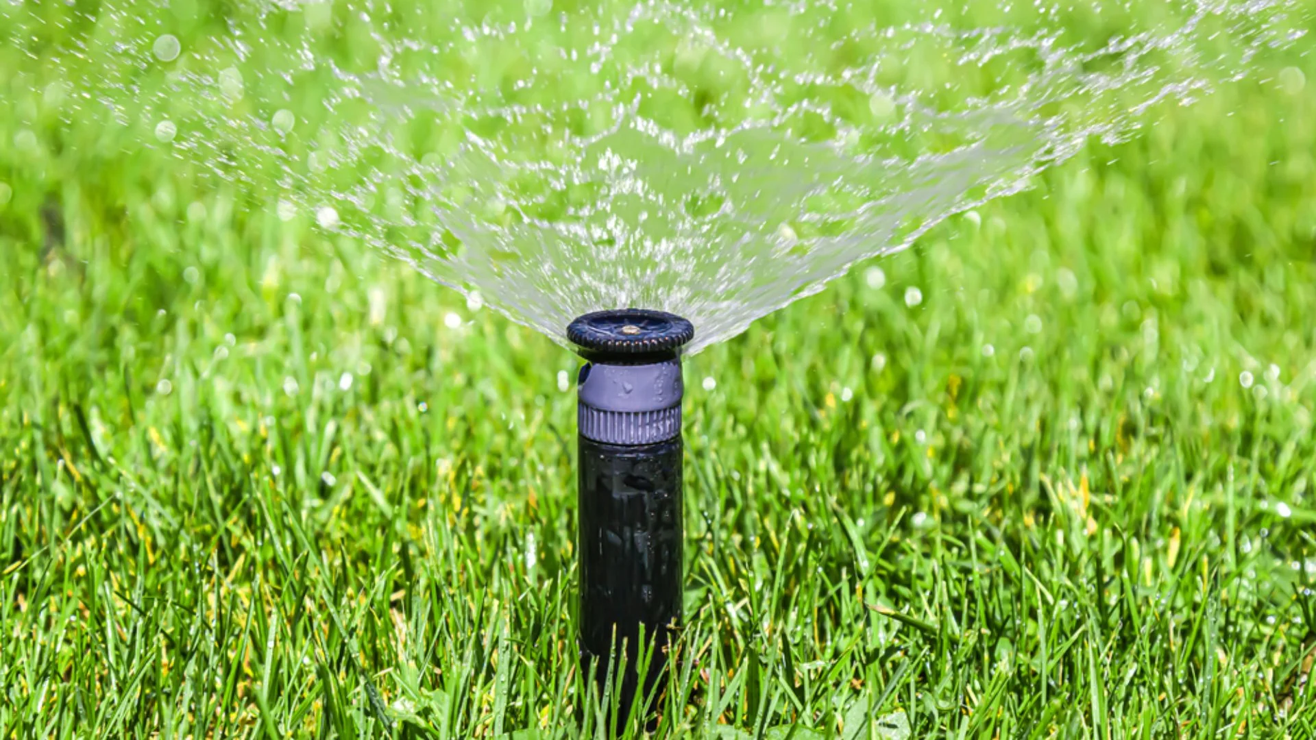 What Goes Into the Cost of Installing an Irrigation System?