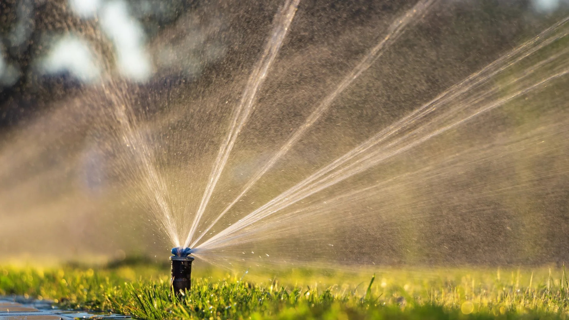 Routine Maintenance of Your Irrigation System Will Extend Its Lifespan
