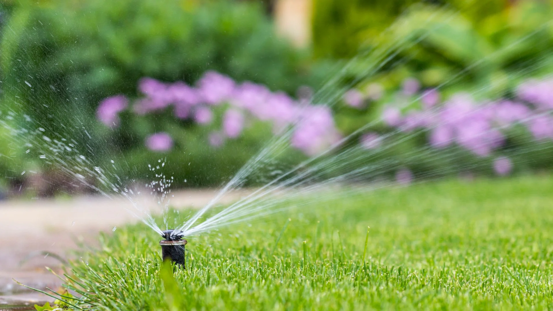 What's Wrong With Your Irrigation System?