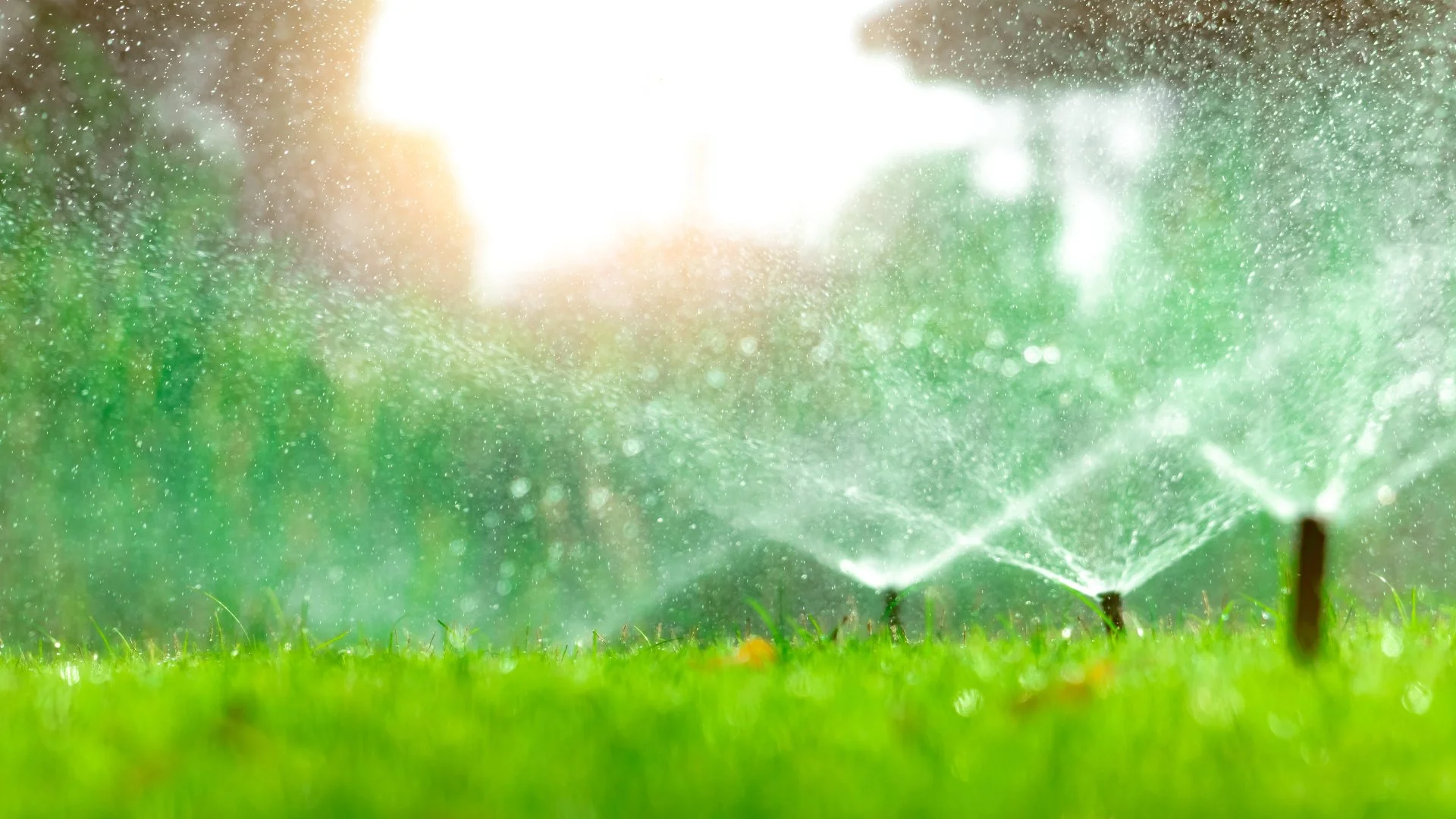 Are Rain Sensors Worth It?
