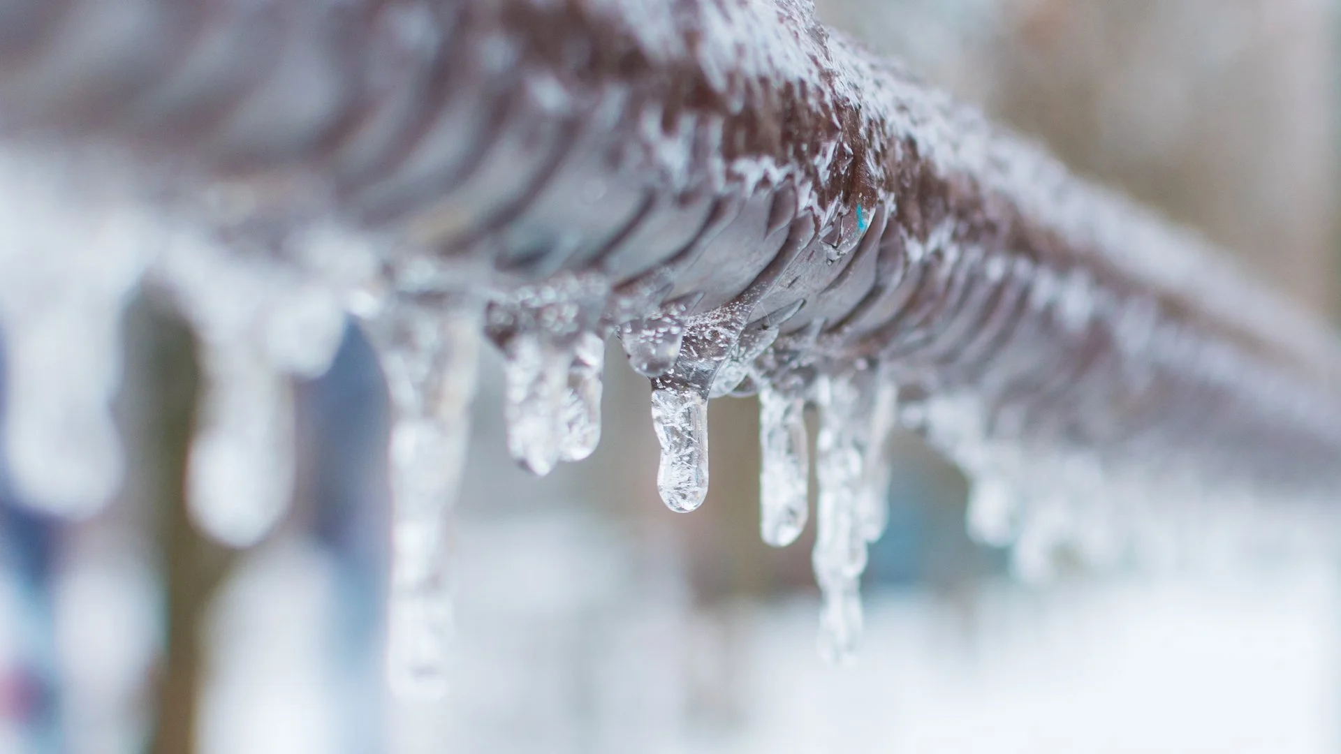 Irrigation System Winterization Explained