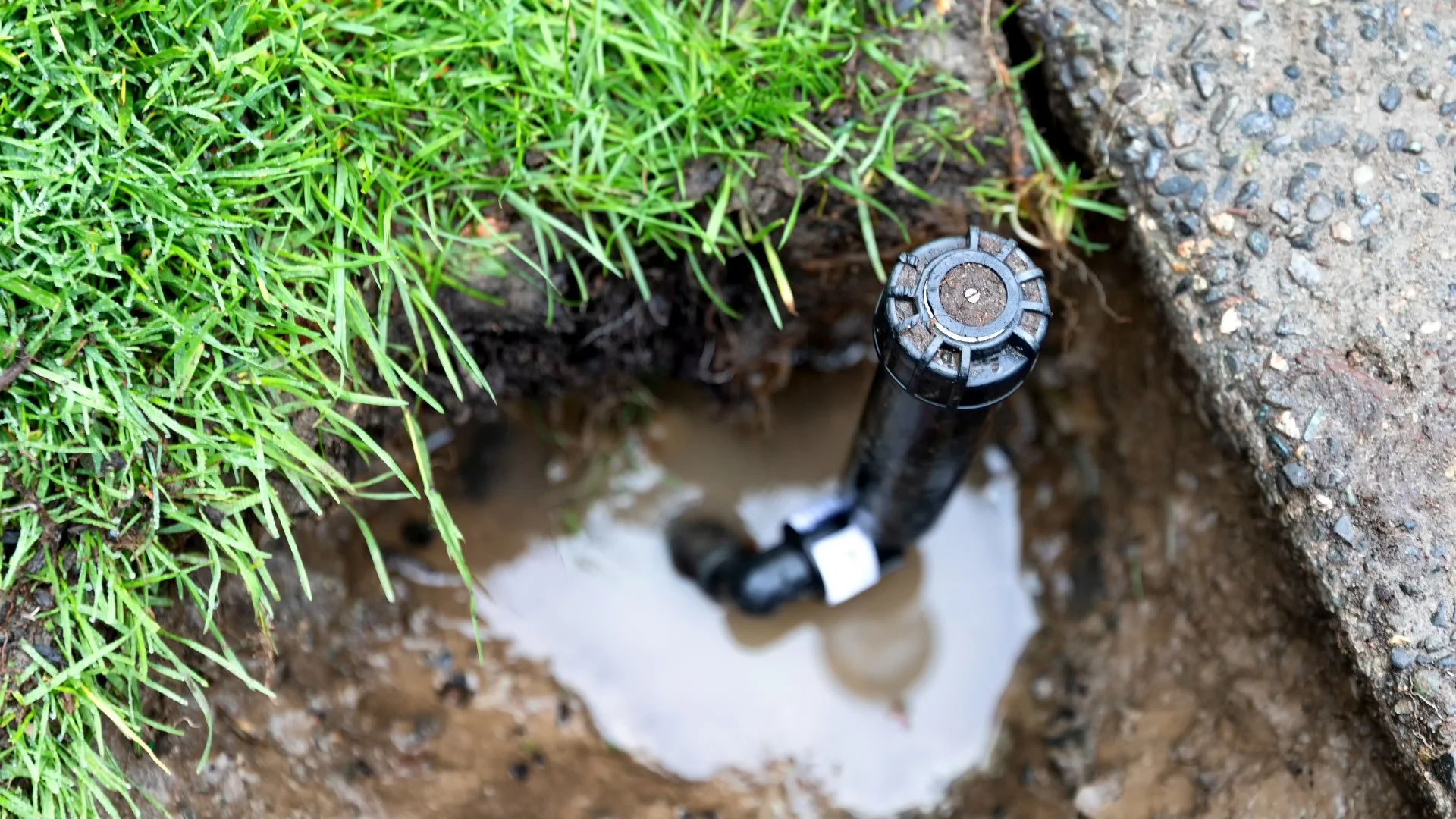 If You Notice These Signs, Your Irrigation System May Be Leaking!