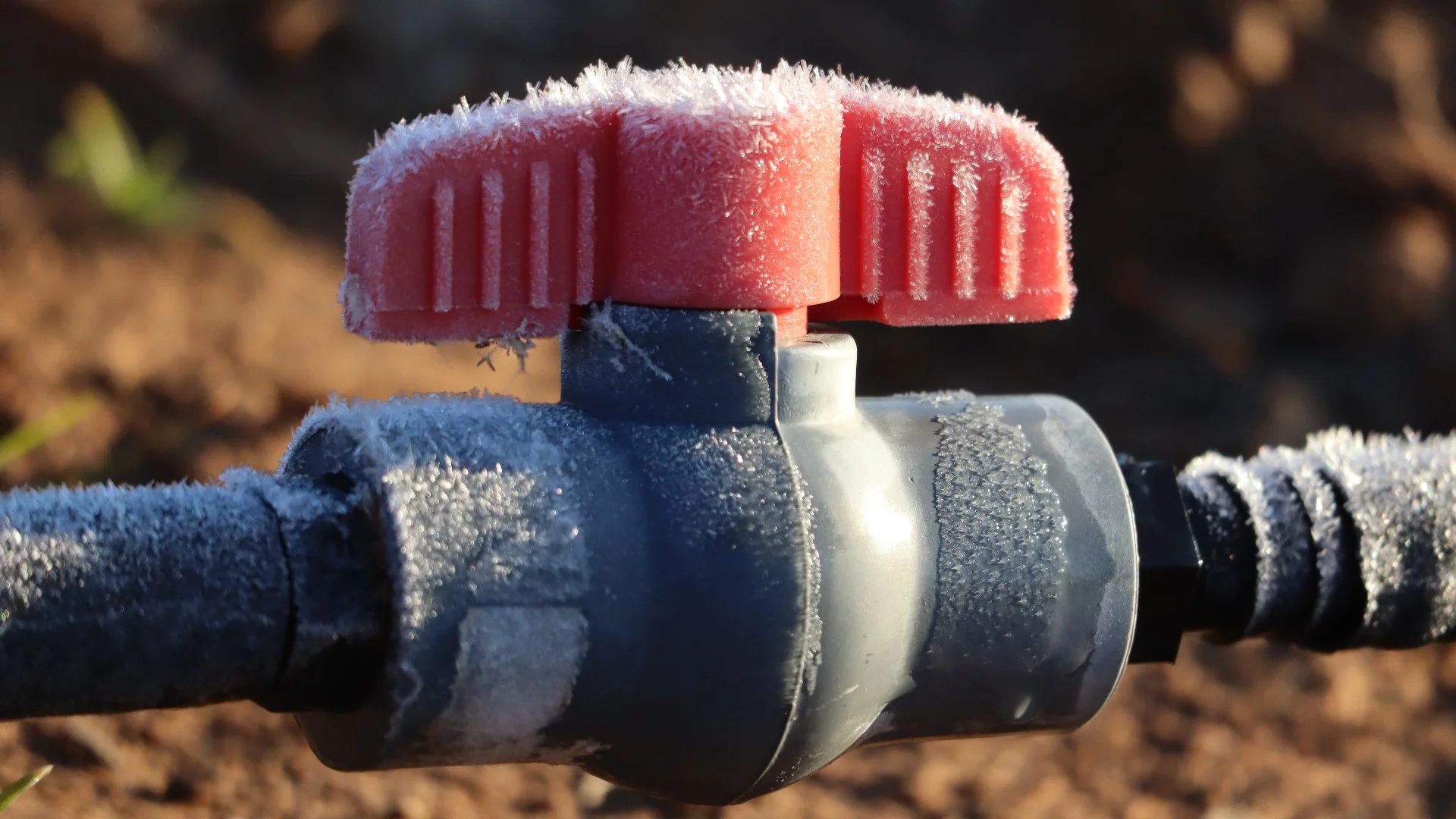 How Do Professionals Winterize Irrigation Systems?