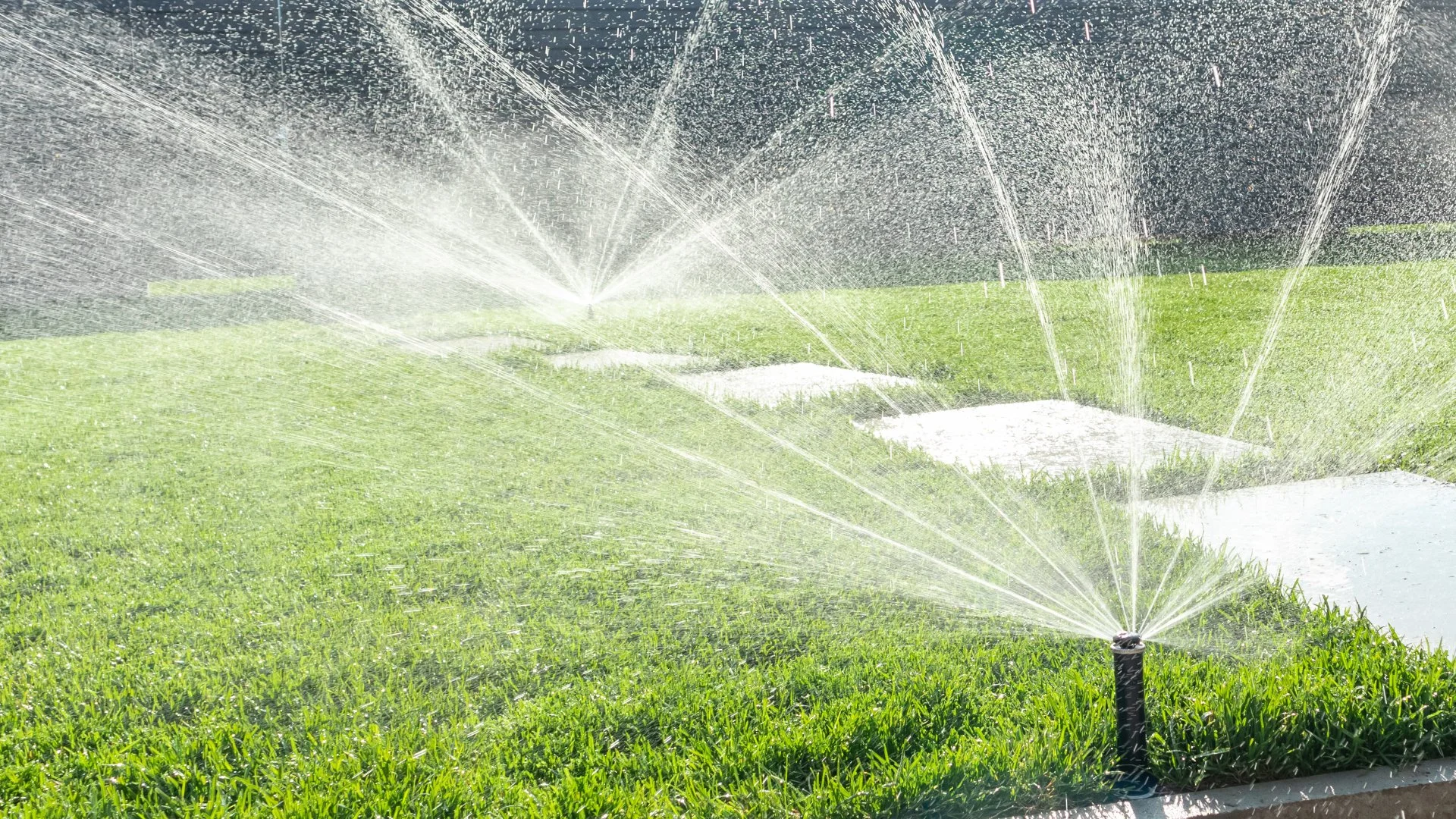 Hire Professionals to Startup Your Irrigation System in the Spring