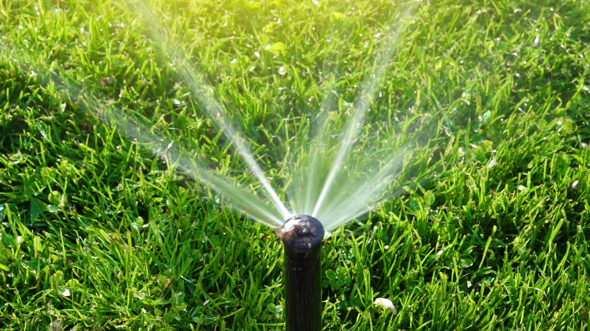 Installing an Irrigation System Is Not a Task You Should Take On Yourself
