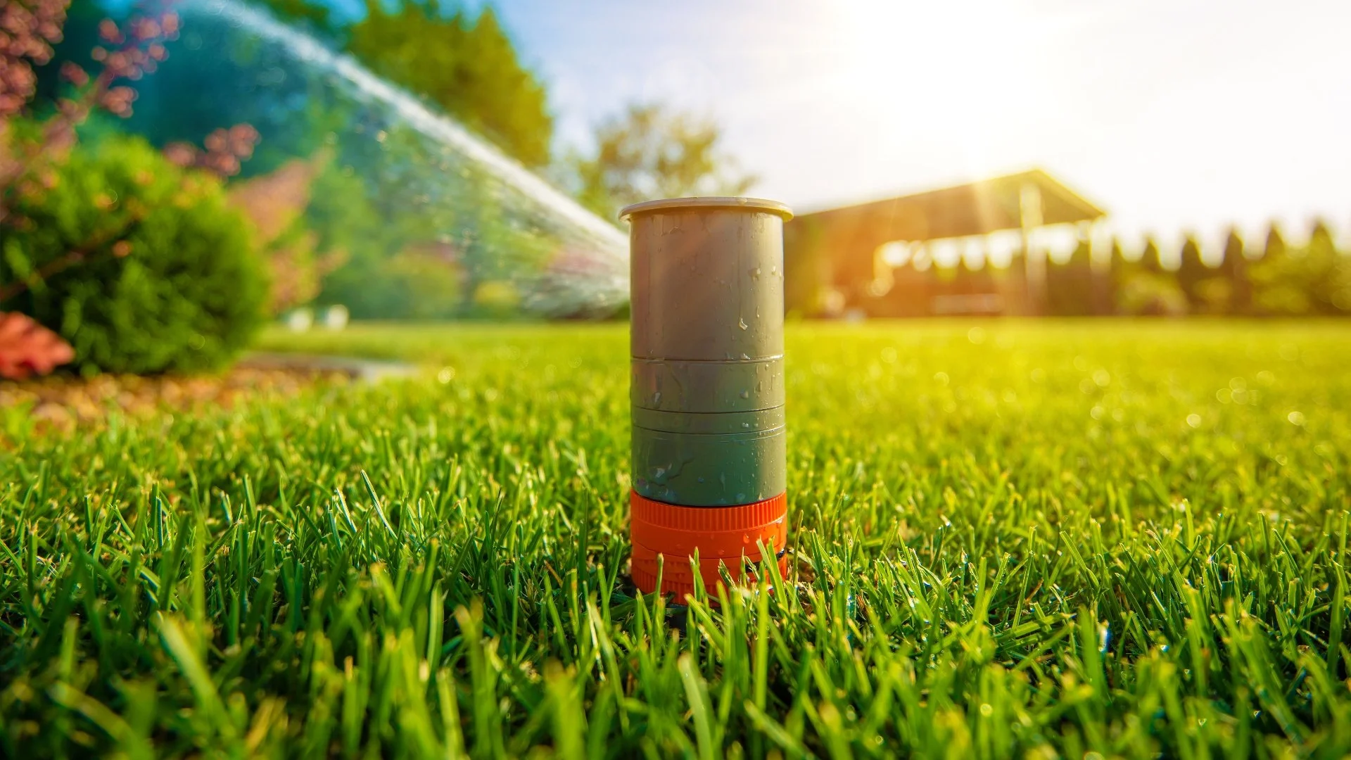 Optimizing Your Irrigation System Will Make Watering More Efficient