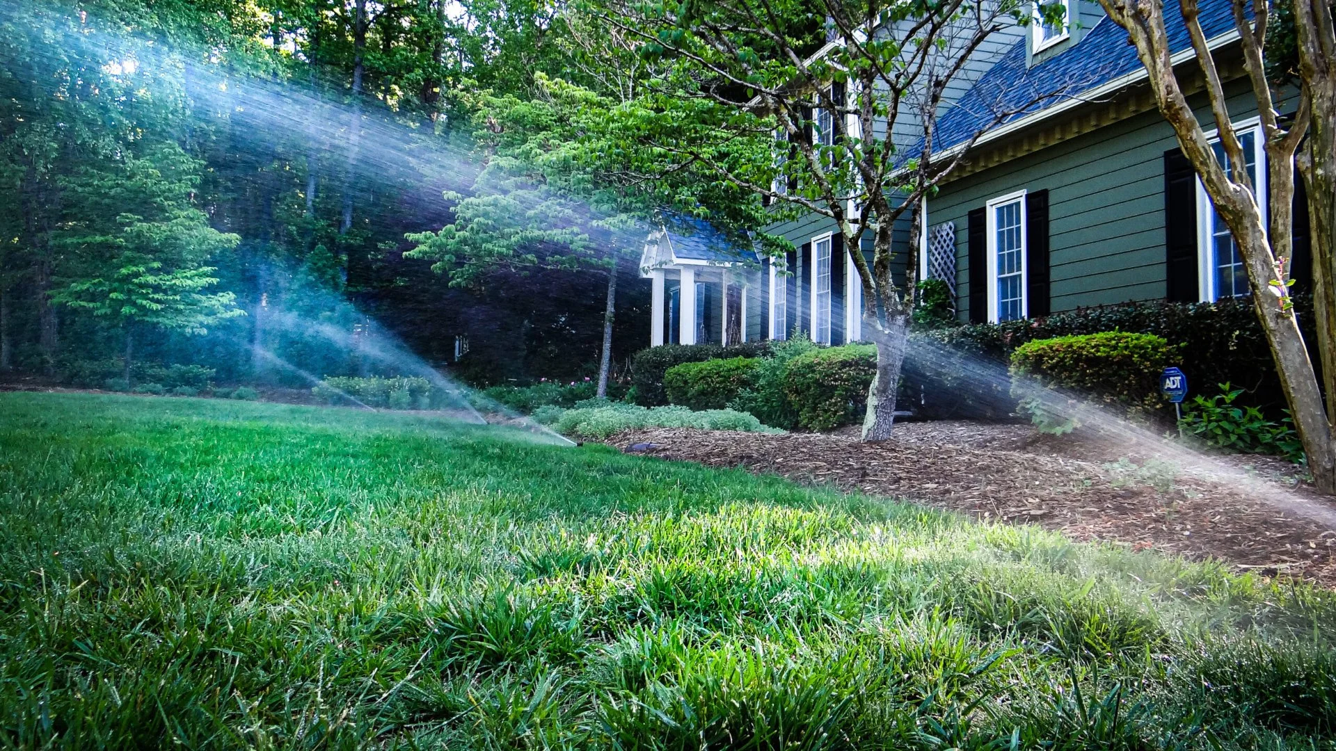 Sprinkler vs Drip Irrigation - Which Should You Install for Your Property?