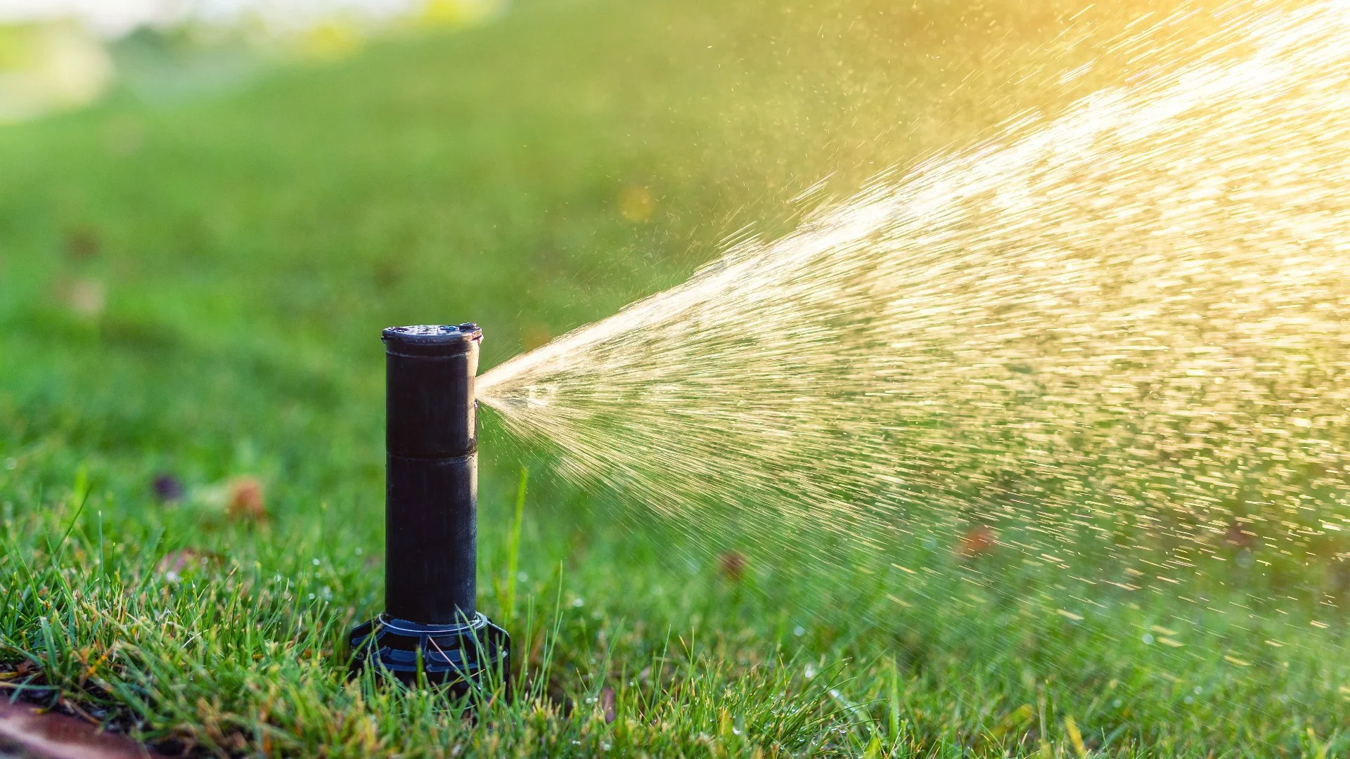 Smart Irrigation Systems: Worth It or a Waste of Money?