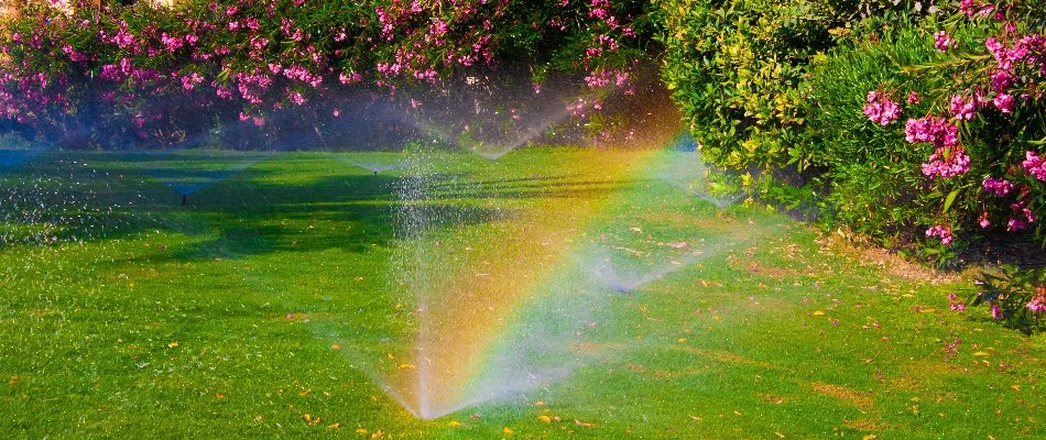 Lawn in Cary, NC, with shrubs and sprinkler heads.