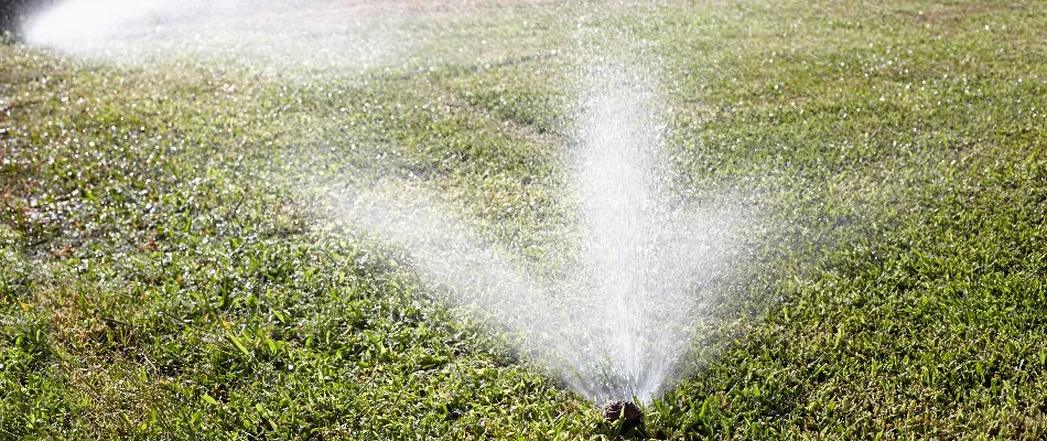 Lawn in Cary, NC, with an irrigation sprinkler system.