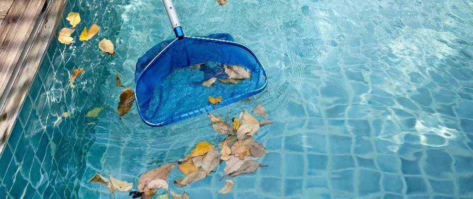 Skimming leaves off the surface of a pool in Cary, NC.