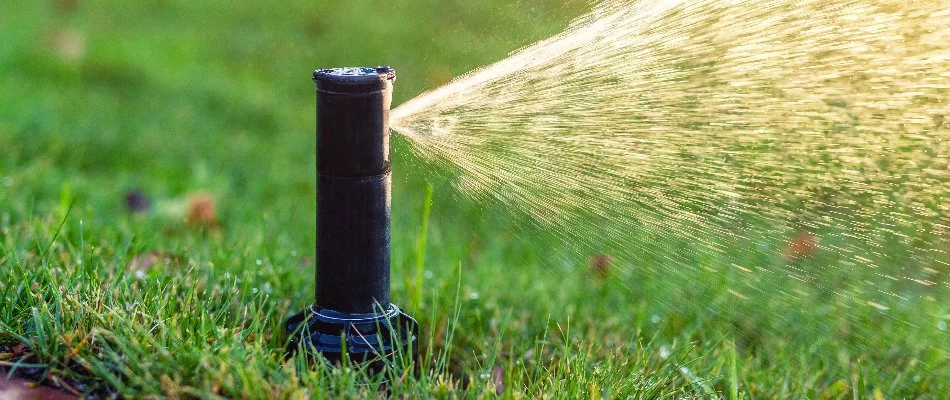 Sprinkler head on a lawn in Cary, NC.