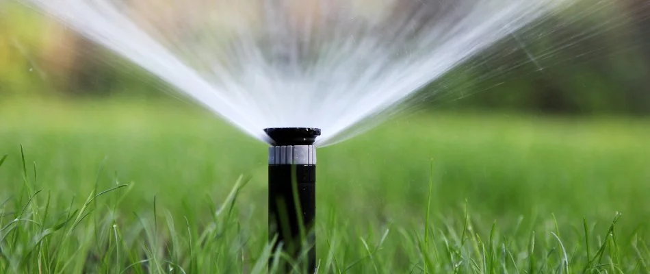 Irrigation sprinkler head shooting water on a property in Pittsboro, NC.
