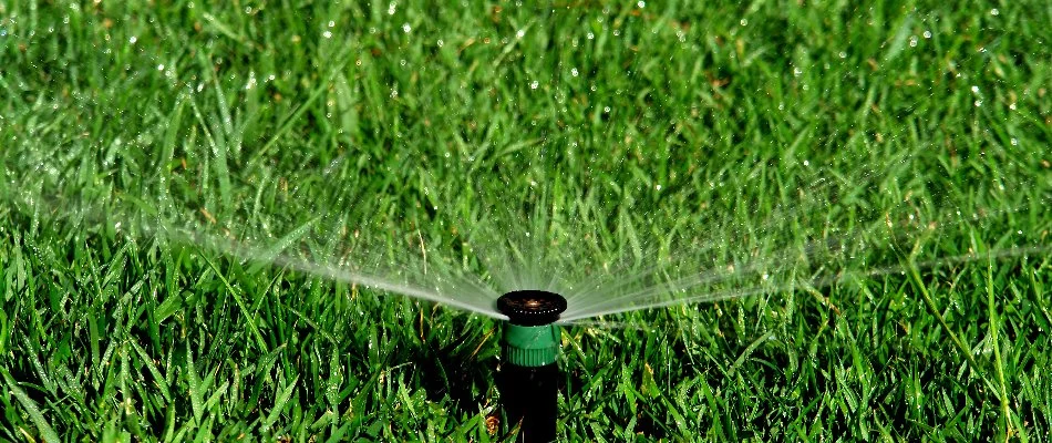 Closeup of a sprinkler head watering grass in Bethesda, NC.