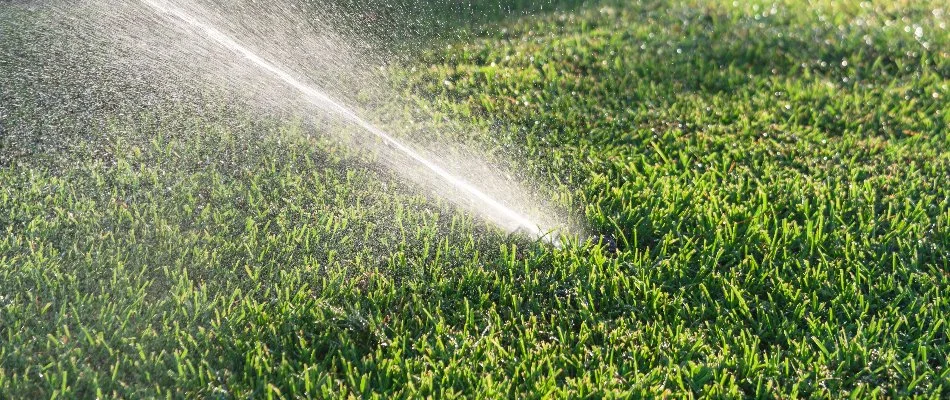 Irrigation system in thick grass on a property in Rolesville, NC.