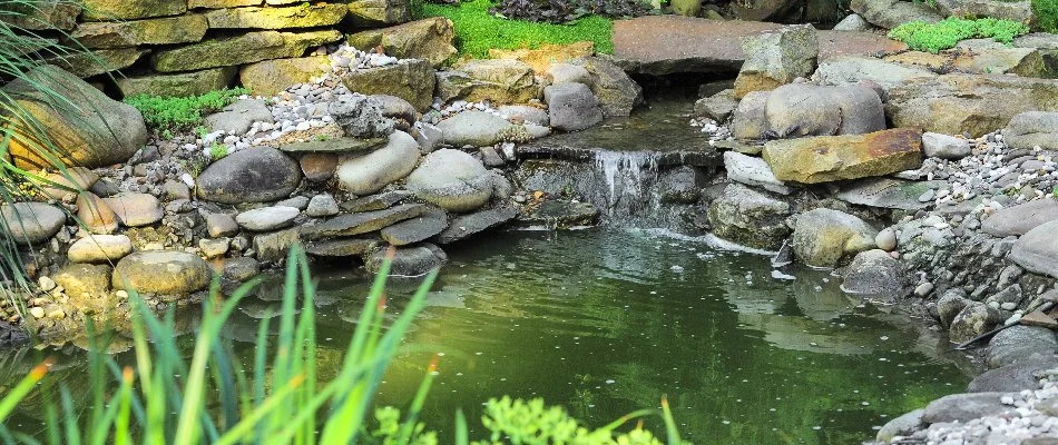 Rocks around a pond with a waterfall in New Light, NC.