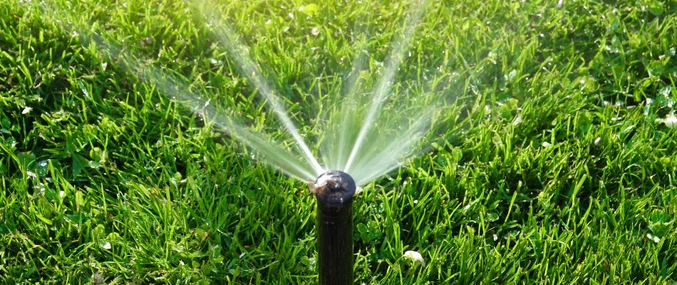 Sprinkler head spraying water on a lawn in Cary, NC.
