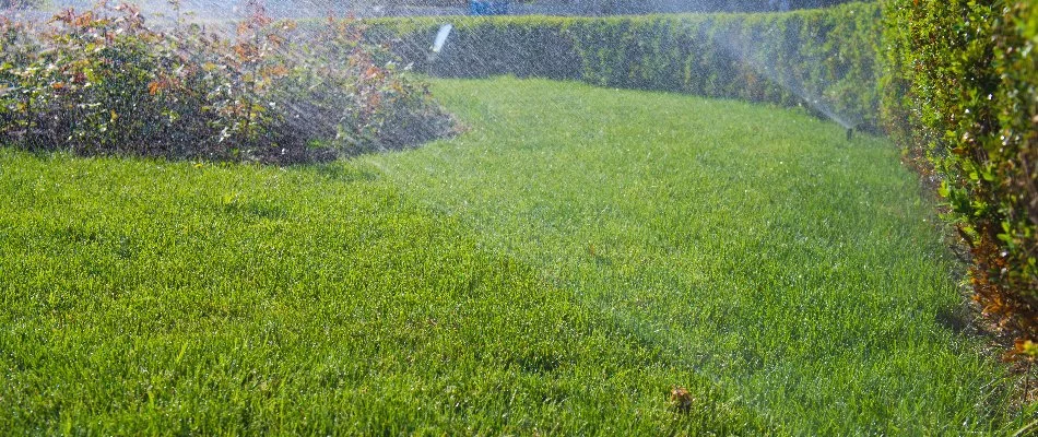 Water spraying from a sprinkler across grass and plants in Clayton, NC.