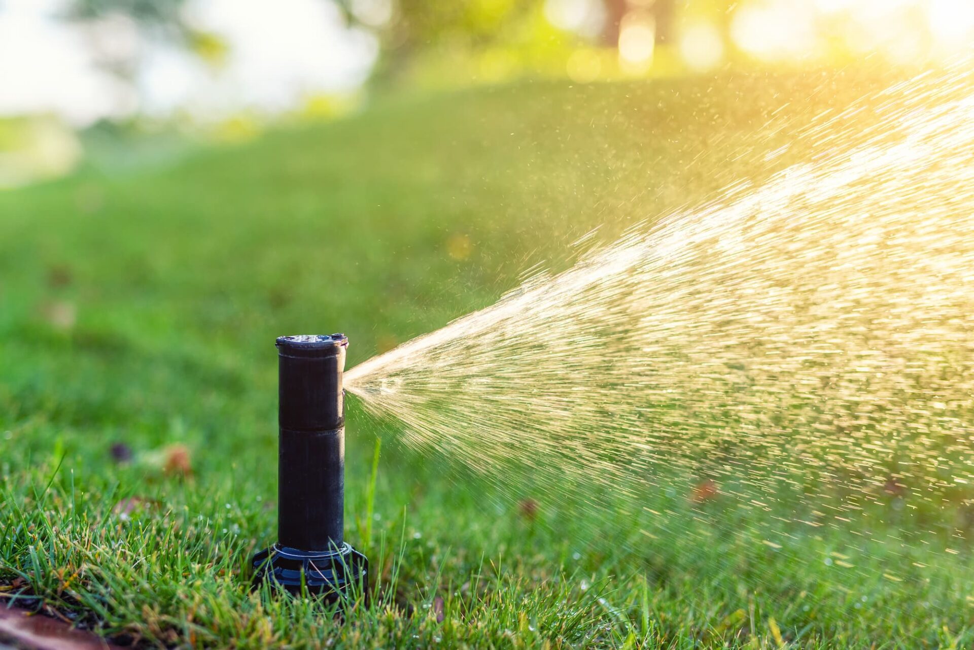 Greenway Irrigation Sprinkler Far Spray