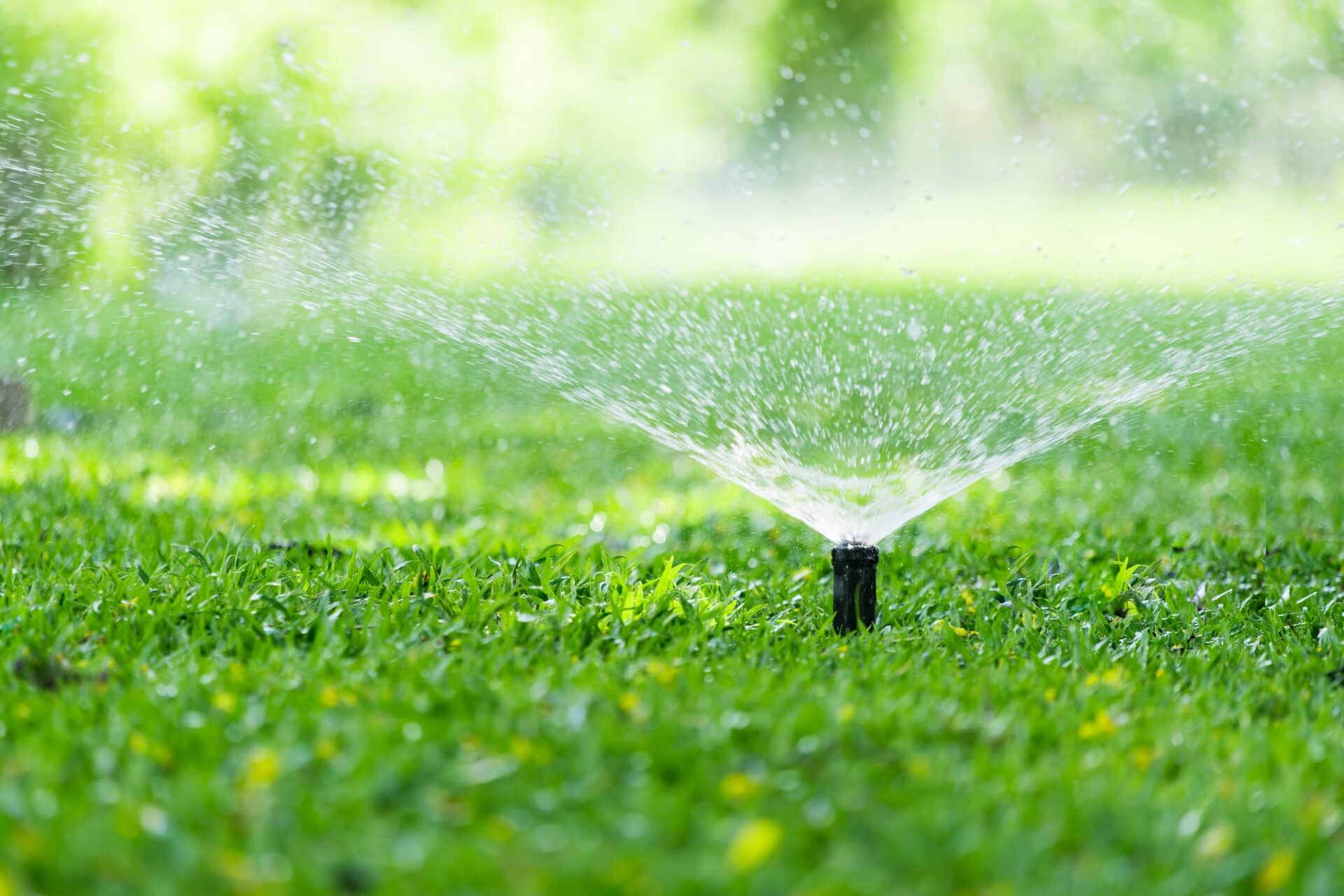Greenway Irrigation Sprinkler On Lawn Rotating