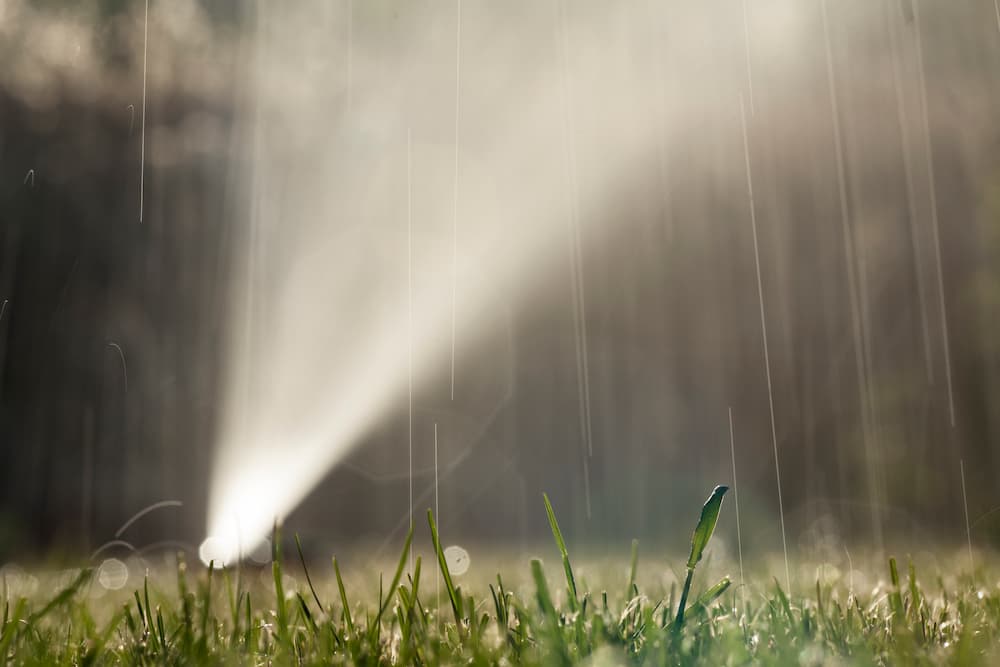 Sprinkler raining down water on a lawn in the perfect amount
